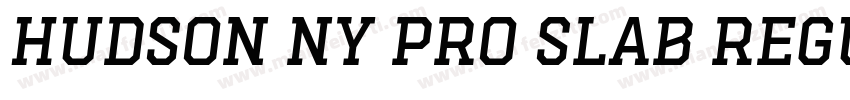 Hudson NY Pro Slab Regular字体转换